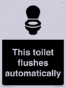 this-toilet-flushes-automatically~